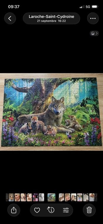 puzzle