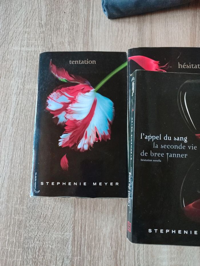 Lot livre Twilight - photo numéro 2