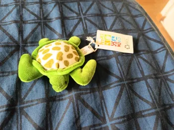 Peluche tortue