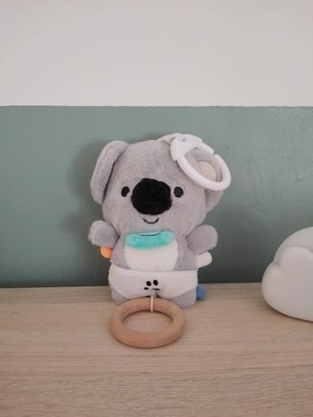 Koala musical