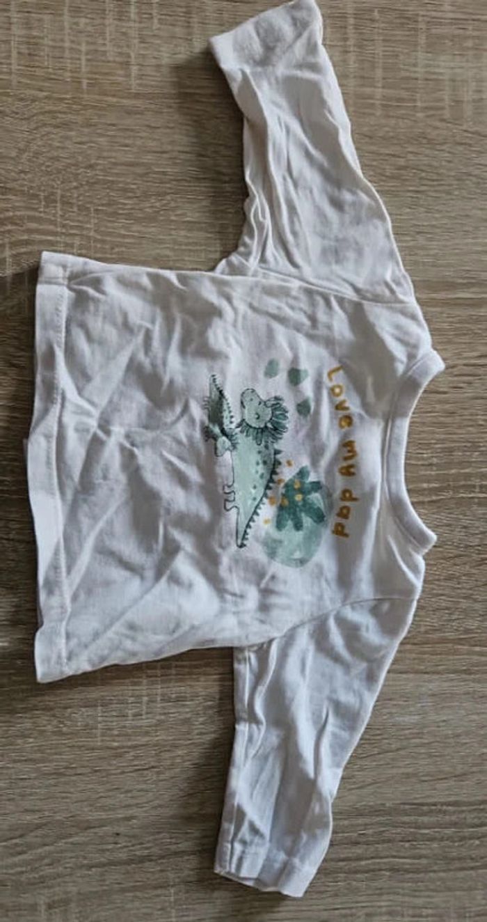 Tshirt manche longue dinosaure