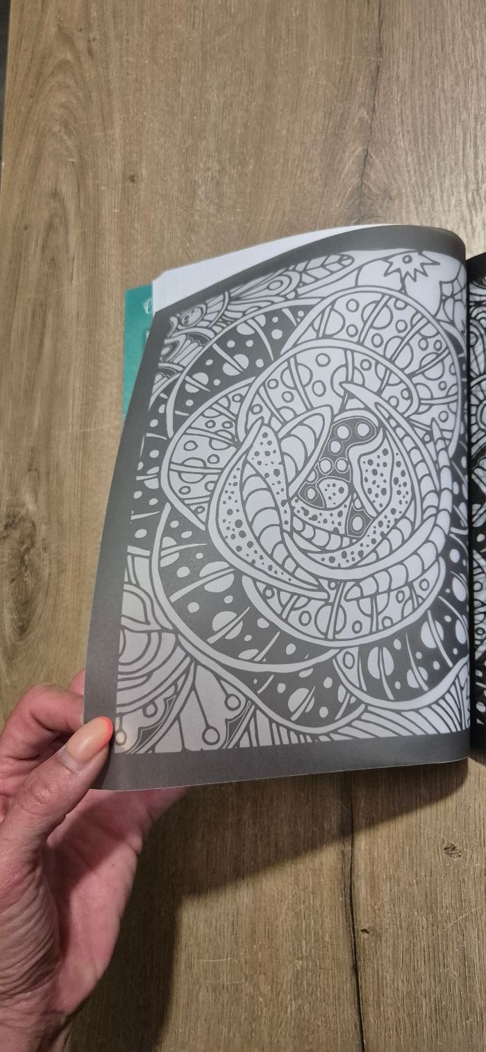 Livre Colouring Book Craft Sensations - photo numéro 6