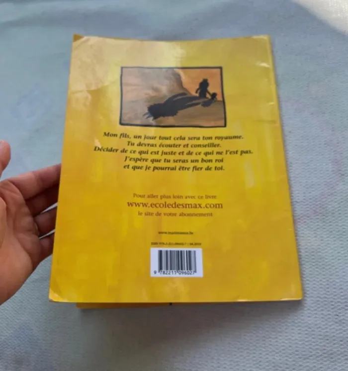 Livre Nuno Petit Roi – Bon état - photo numéro 3