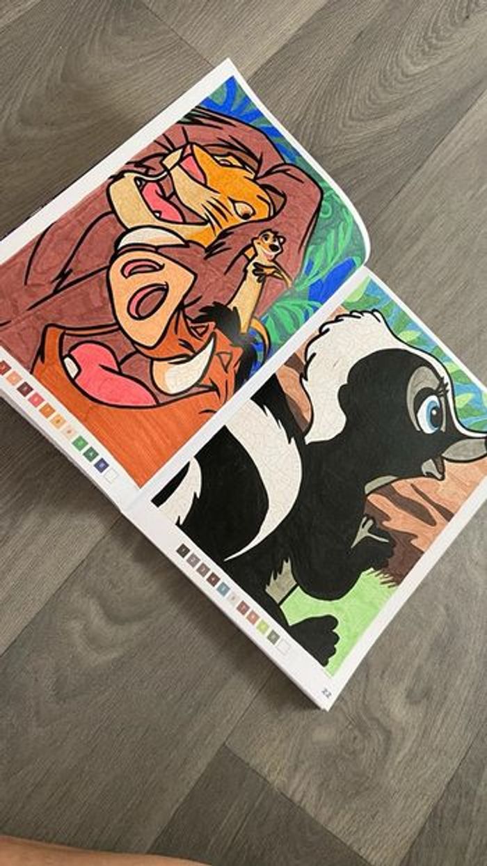 Livre coloriage mystère les grands classique tome 12 (quelque coloriage de réaliser) - photo numéro 11