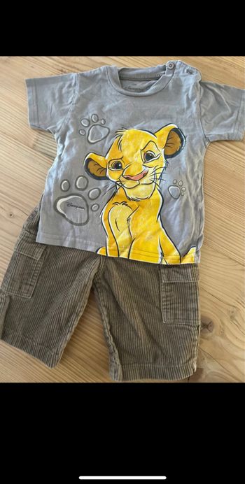 Ensemble le roi lion 12 moi