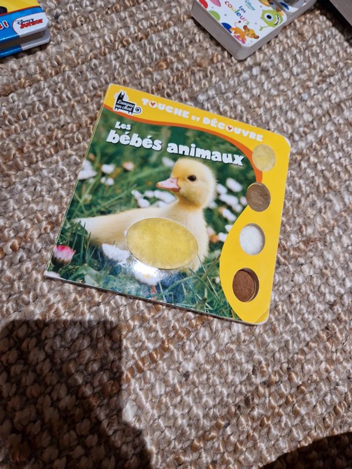 Livre touche et découvre les bébés animaux