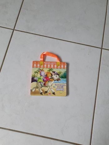 Petit livre enfants les vacances du petit poney VIN