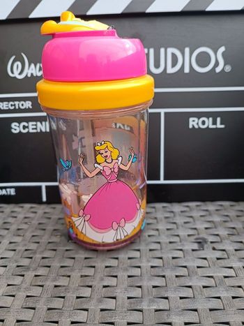 Gourde/verre double paroi Disney cendrillon