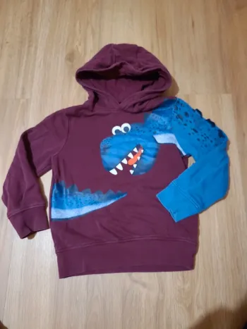 Pull sweat capuche