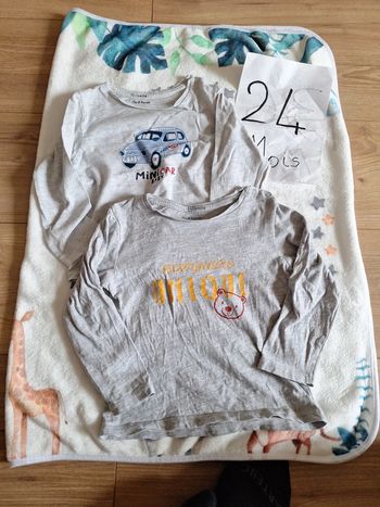 Lot de 2 tee shirt gris