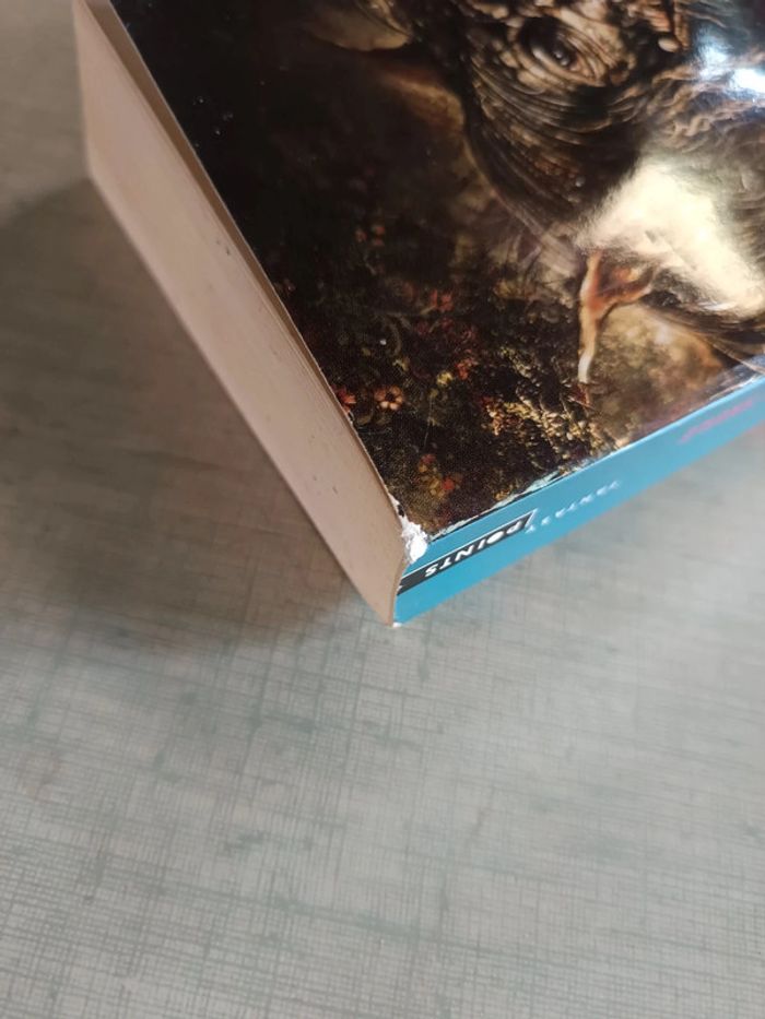 Livre les brigands de la forêt de skule - photo numéro 3