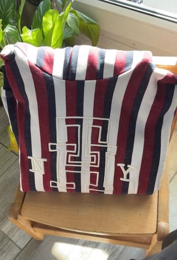 Sweat à capuche Tommy Hilfiger