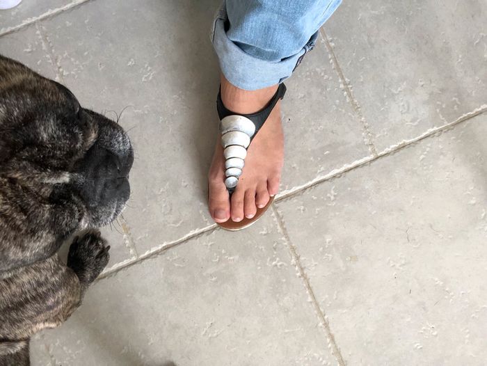 Sandale noires et argenté - photo numéro 3