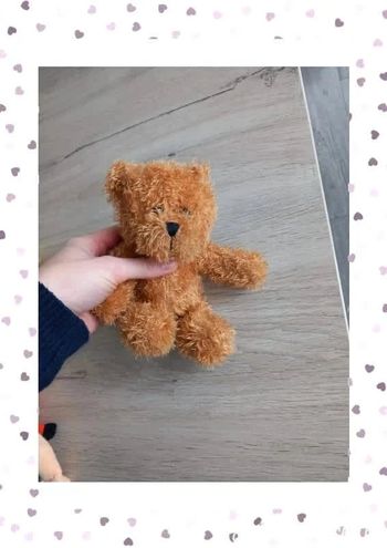 Ours en peluche