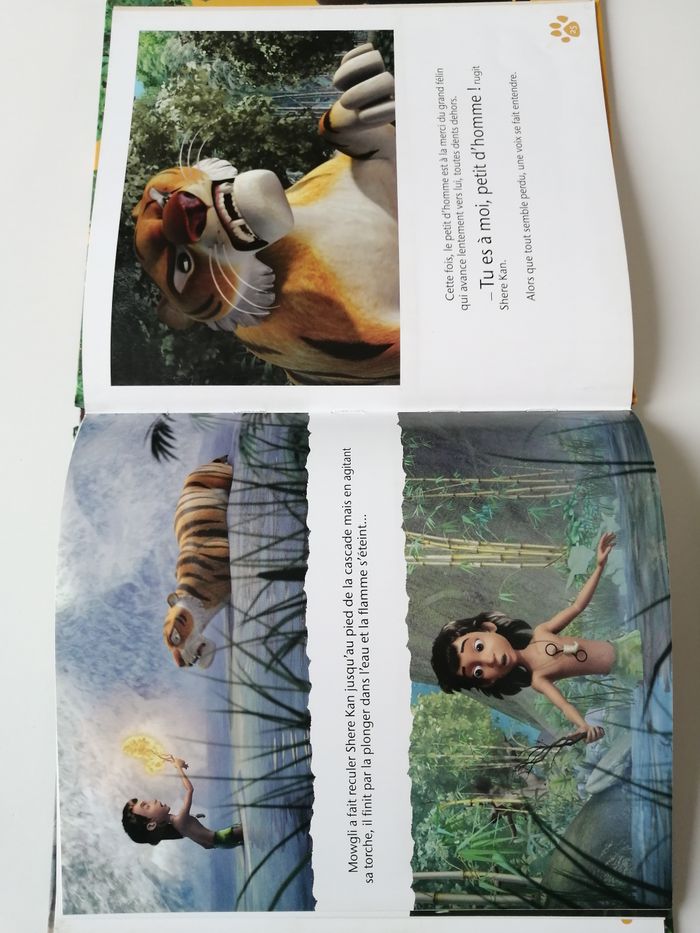 le livre de la jungle - livre enfant - photo numéro 7