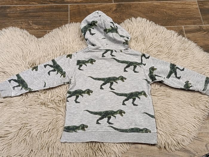 Sweat à capuche dinosaure - photo numéro 4