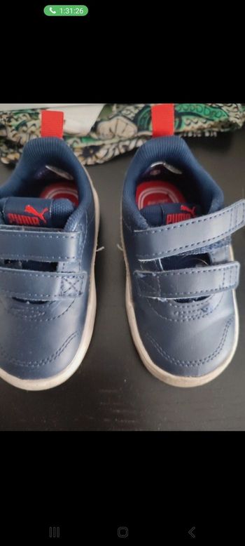 Basket puma