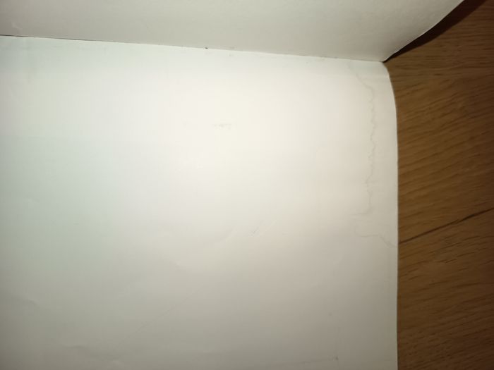 Livre album enfant, Poule mouillée, École des loisirs - photo numéro 6