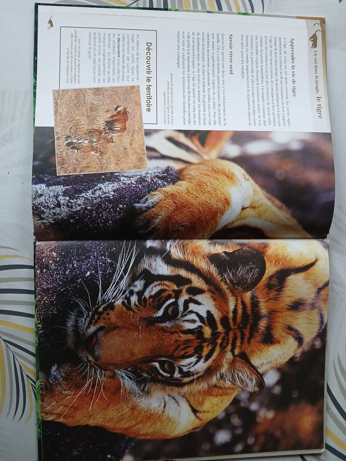 Livre Le tigre - photo numéro 4