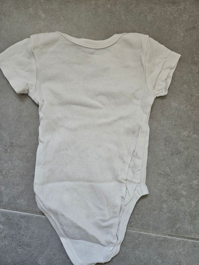 Body MC 3M - photo numéro 2