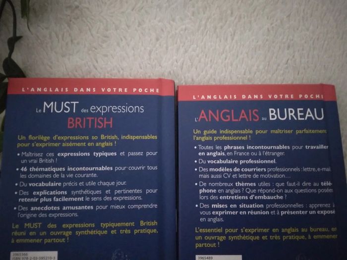 🍁50% sur les lots🍁🌸Lot de 3 livres d'anglais 🌸 - photo numéro 3
