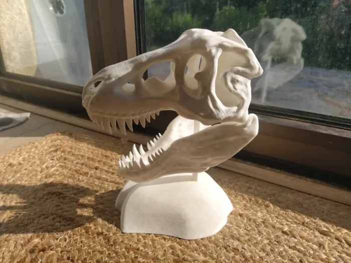 Crâne de T-Rex tyrannosaure Jurassic park - photo numéro 13