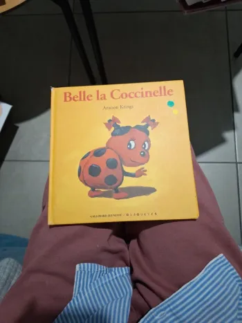 Belle la coccinelle