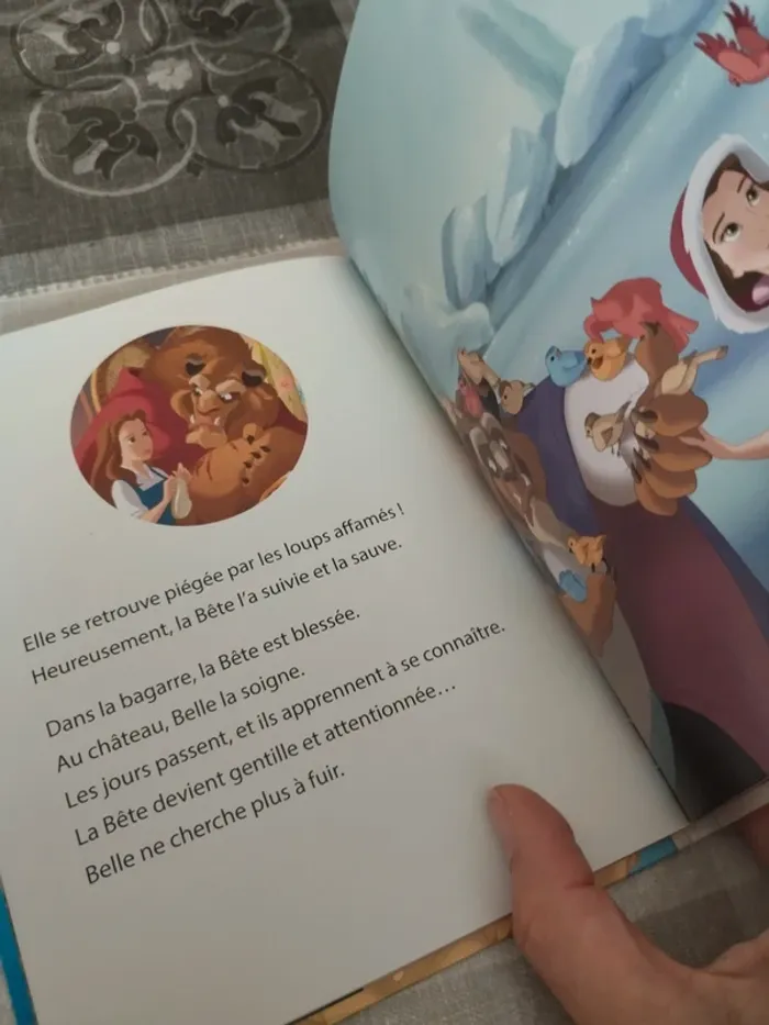 Livre la belle et la bête - photo numéro 4