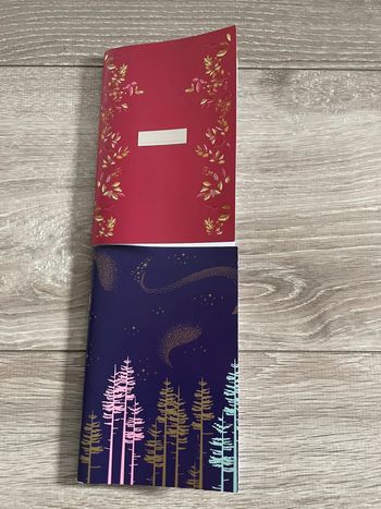Lot deux carnet neuf