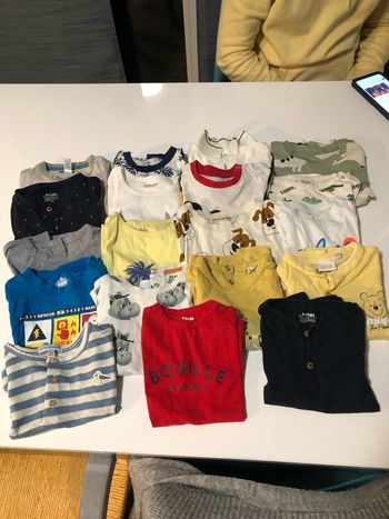 Lot 19 tee-shirts été taille 18 mois