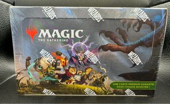 Display magic bloomburrow fr scellé