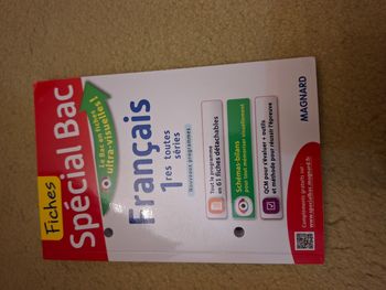 Fiches spécial bac Français