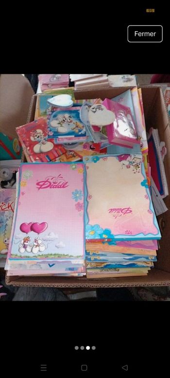 Lot 150 feuilles diddl
