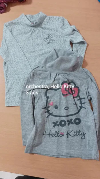2 tee shirts