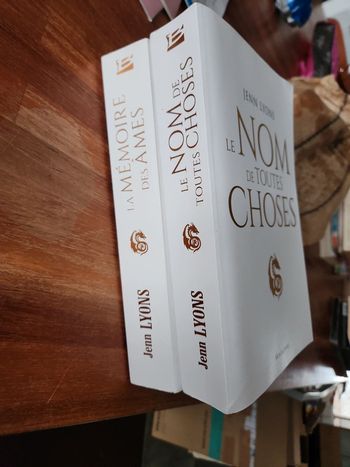 Lot de 2 livre : Jenn Lyons