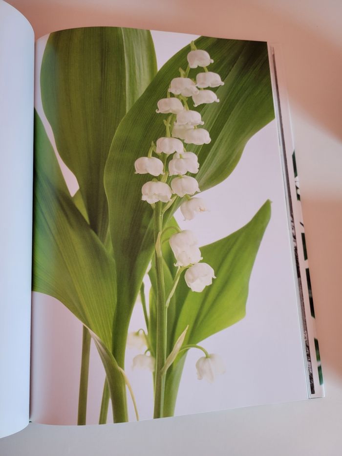 Livre sur les fleurs - photo numéro 4