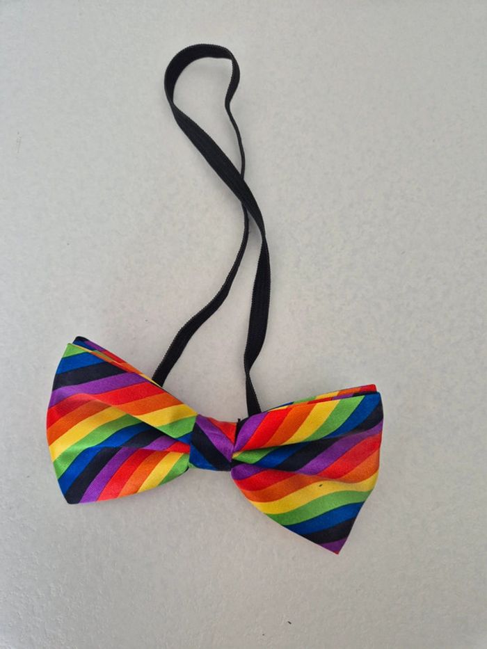 Nœud papillon multicolor - photo numéro 2
