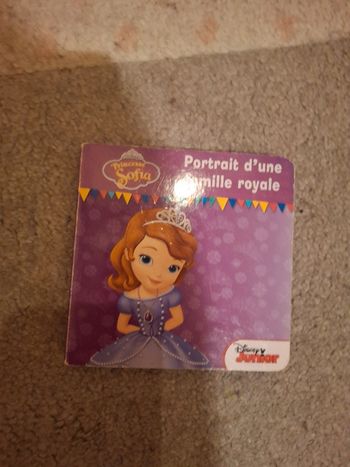 Livre princesse Sofia disney junior