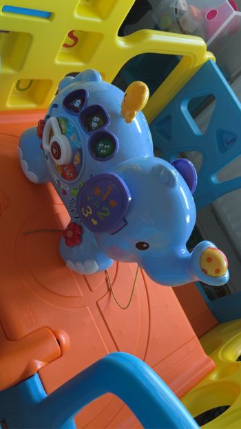 Éléphant bébé
