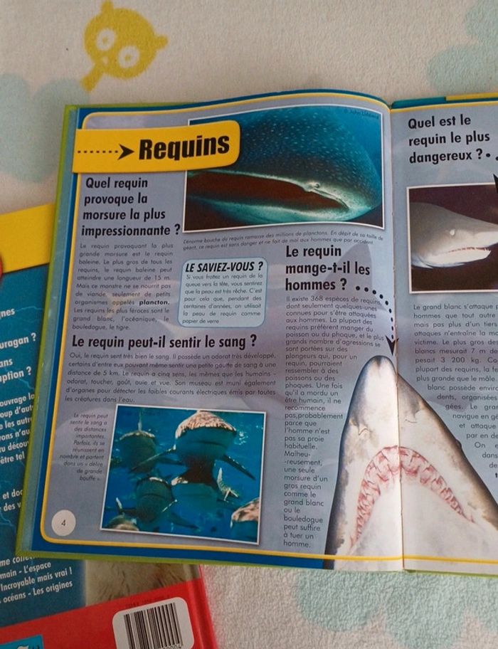 Livres questions/réponses sur le monde - photo numéro 4