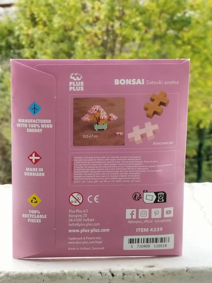 Mini bonsaï rose - photo numéro 3