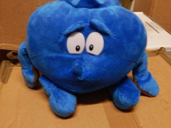 peluche myrtille 