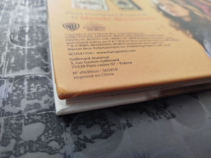 Livre "Fières d'être sorcières !" - Harry Potter - photo numéro 10