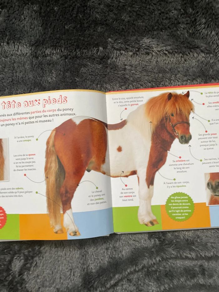 Mon copain le poney livre - photo numéro 3