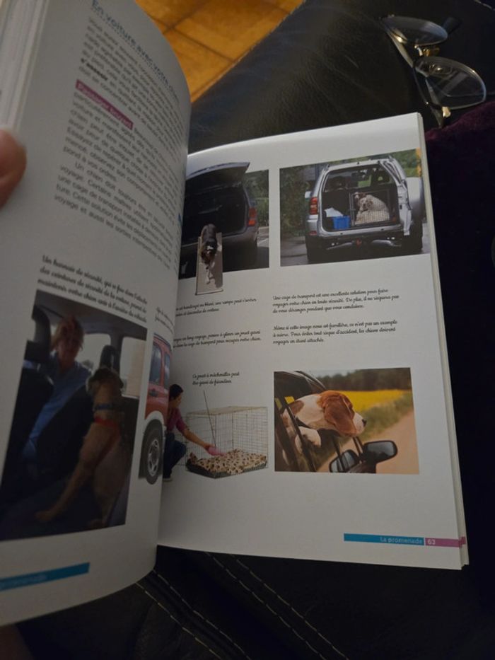 Éduquer facilement son chien - photo numéro 5