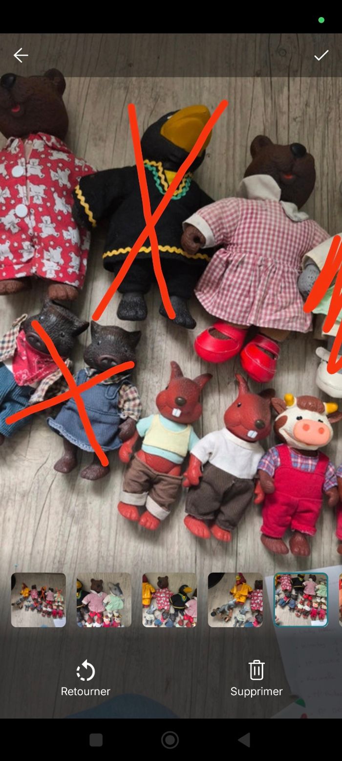 Copain de la forêt - photo numéro 4