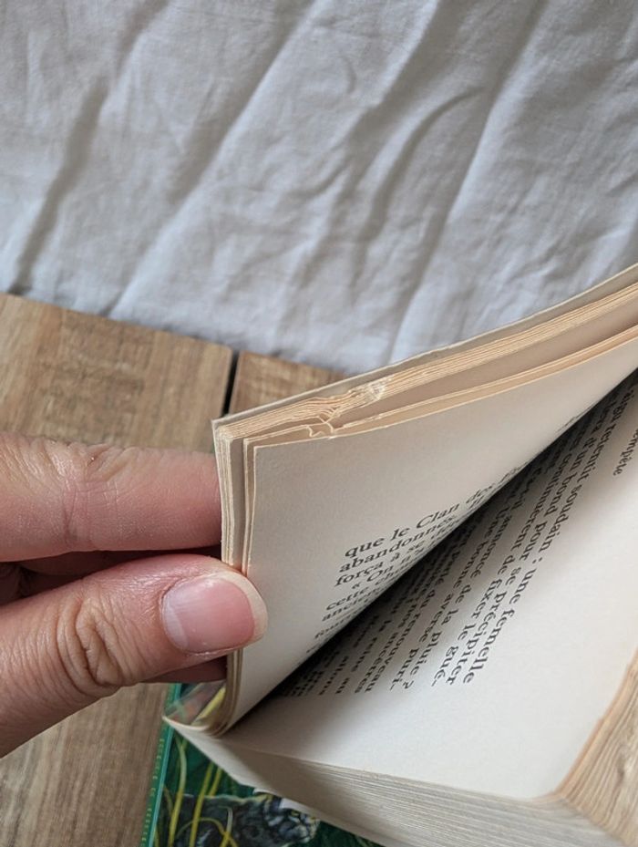 Lot livres La guerre des Clans - photo numéro 9