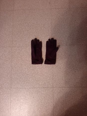 Paire de gants velours