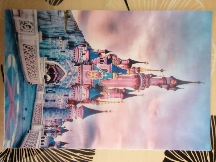 Affiche en tissu Disney Château de la Belle au Bois Dormant pink