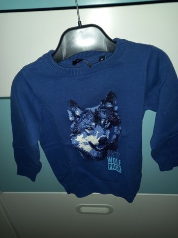 Pull loup